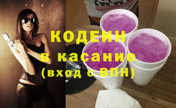 индика Алексеевка