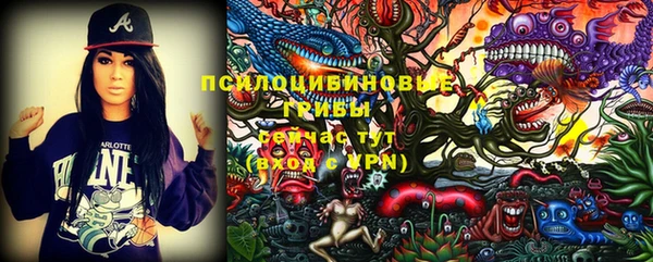 индика Алексеевка
